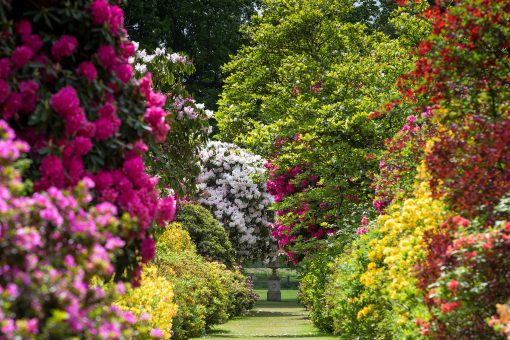 Stody Lodge Gardens long walk