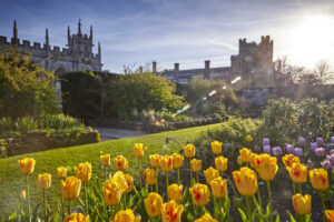 Sudeley Castle tulips