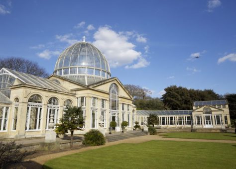 Syon Park greenhouse