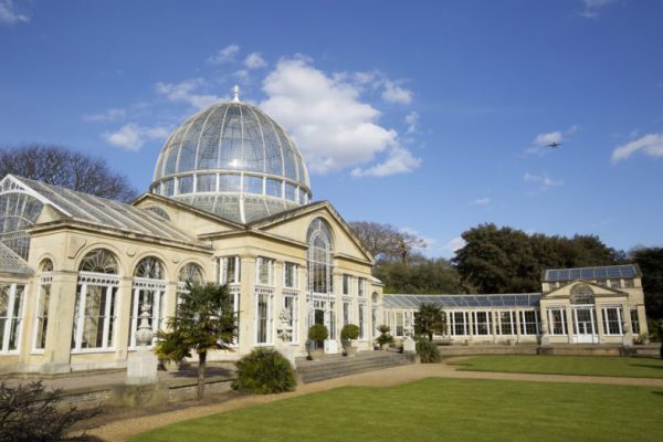 Syon Park greenhouse