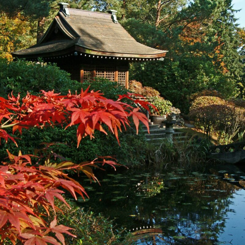 tatton park shrine