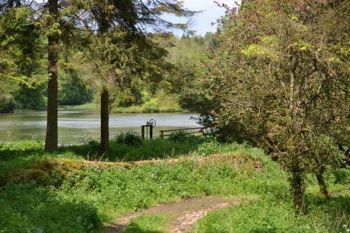 The Garden at Miserden