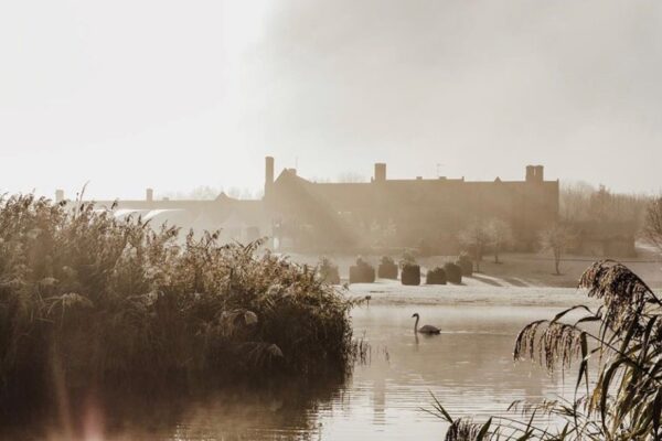 The Old Hall, Ely, sunrise with swan on the lake