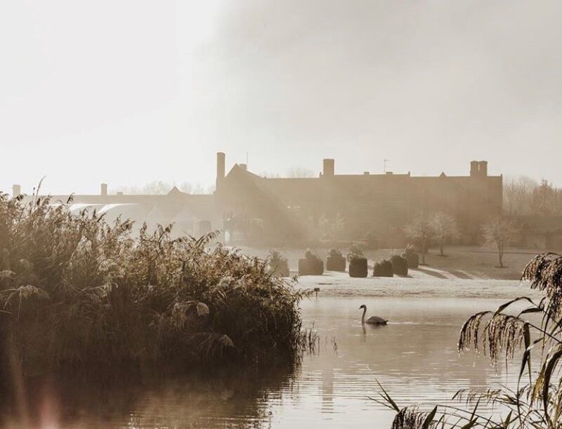 The Old Hall, Ely, sunrise with swan on the lake