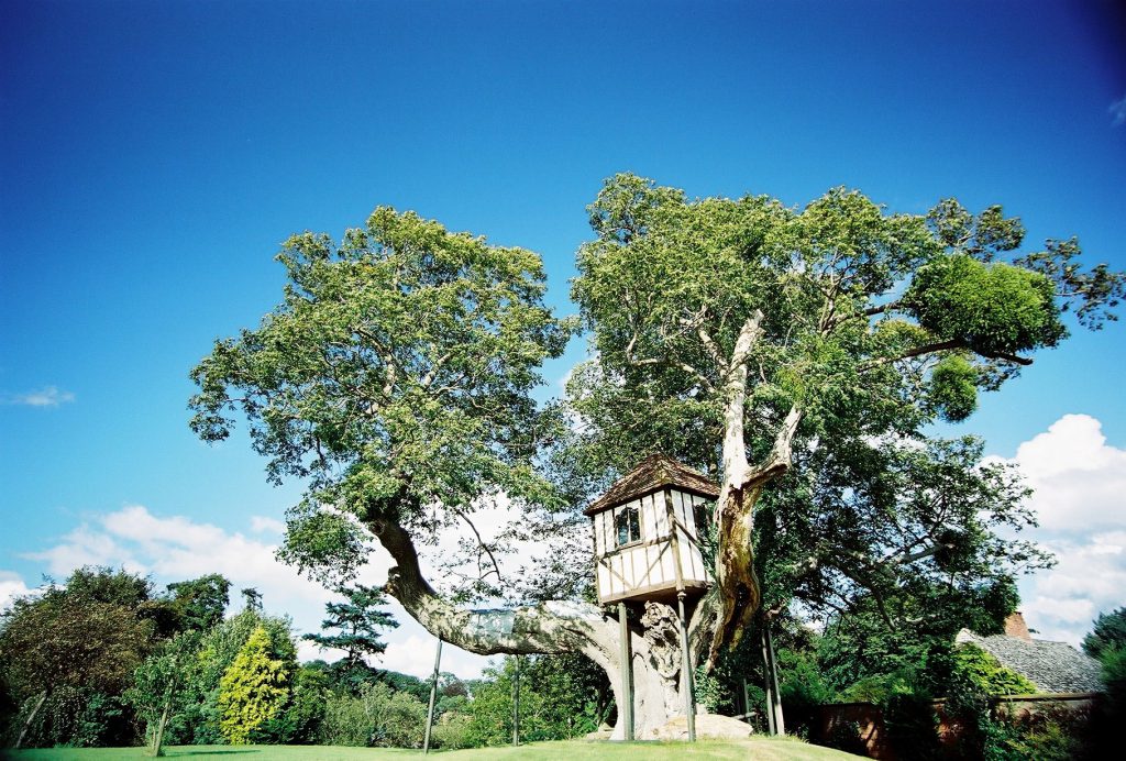 Pitchford Hall Treehouse in Shropshire