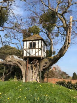Treehouse at Pitchford Hall where Queen Victoria stayed as a girl