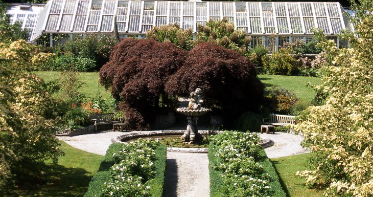 Tregrehan House in Cornwall greenhouse