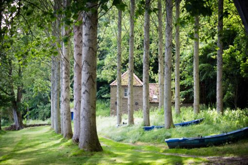 Paxton House woodland in the grounds