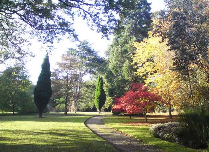 Whatton House garden