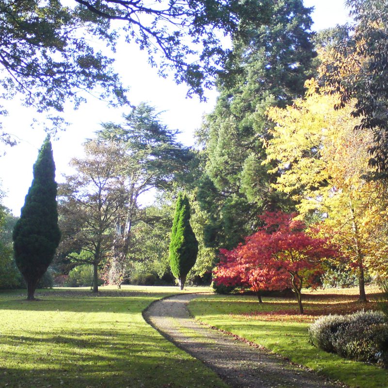 Whatton House garden