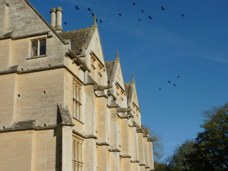Woodchester Mansion birds over the country house