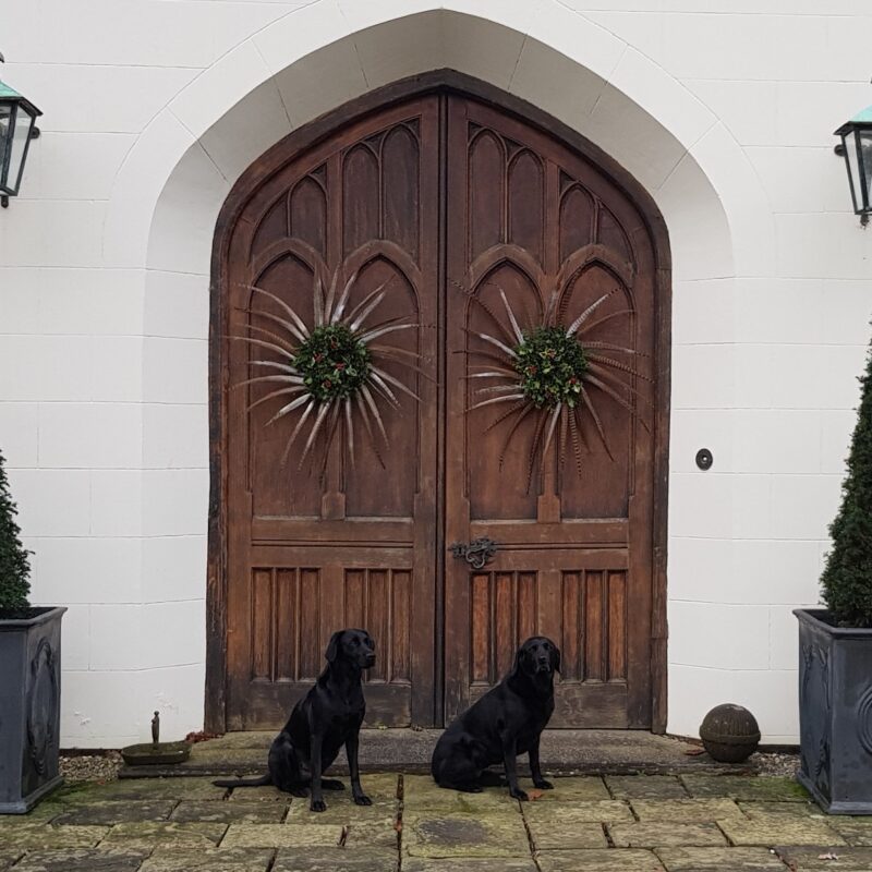 Zanzie and Zomba dogs of Combermere Abbey