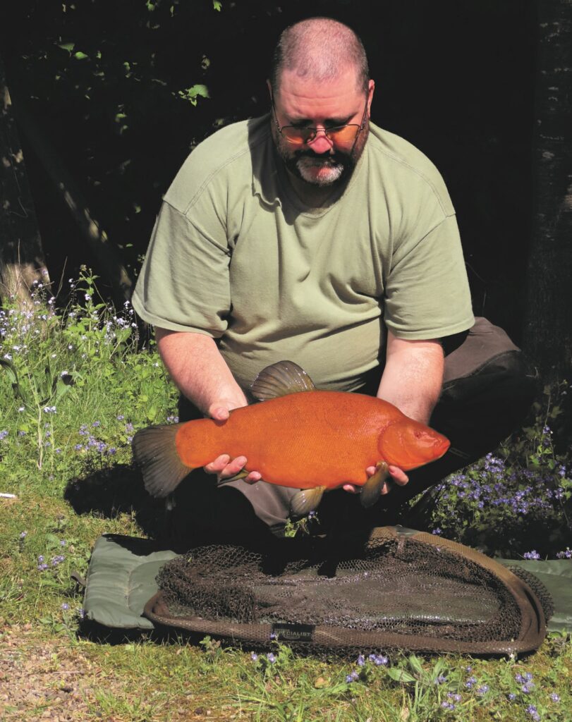 Fisherman Marlin Talbot-pictured-holding-the-rare-specimen-which-will-be-preserved-and-displayed-at-the-visitor-attraction.