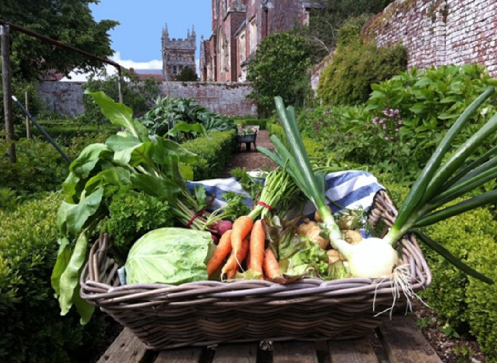 A kitchen garden veg box, ready to go Deans