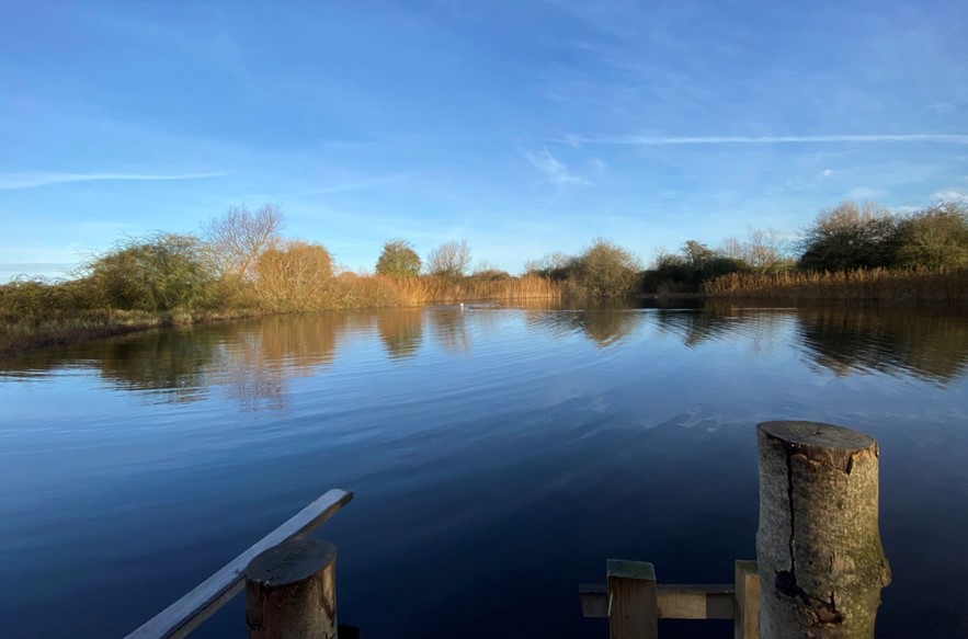 Elmore Court wild swimming pool within rewilding area