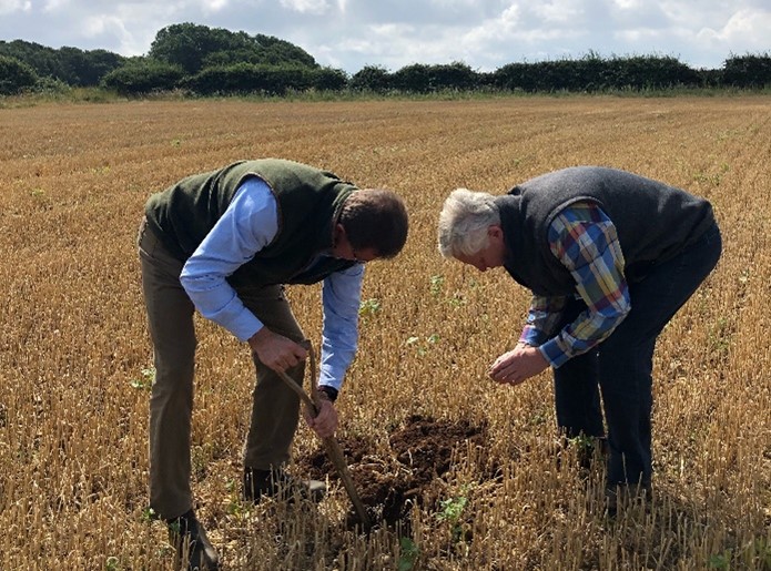 Farming at Holkham Hall