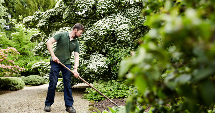 Gardener hoeing Newby Hall Gardens