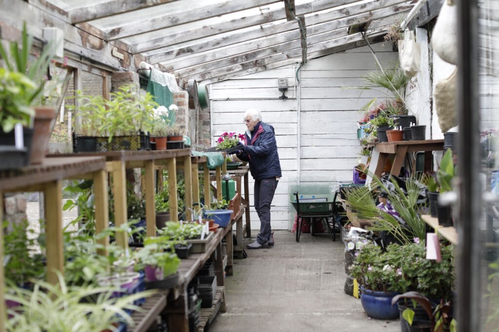 Greenhouse at Middleton Hall