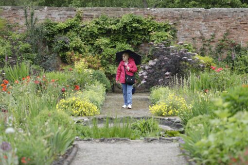 Visitor in the garden at Middleton Hall