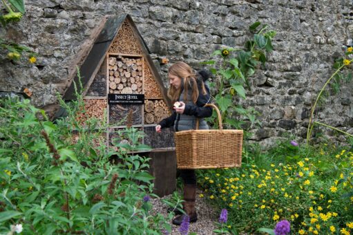 Leighton Hall Insect Hotel