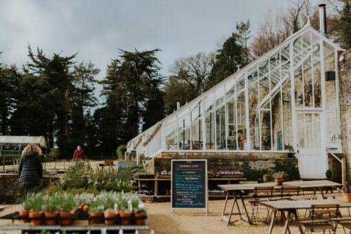 Miserden Gardens greenhouse and plant sale