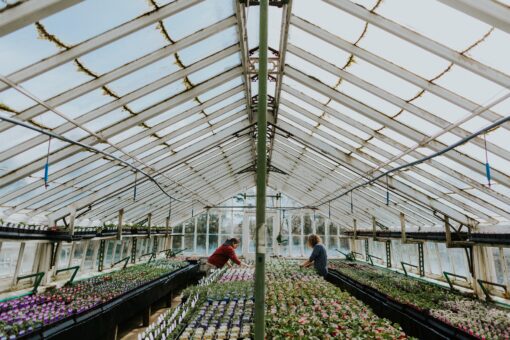 Miserden Gardens greenhouse (c. The Curries)