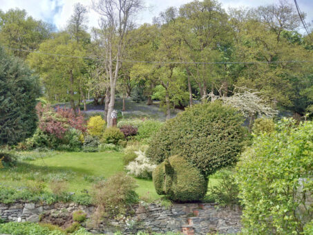 Mysevin Gardens yew tree peacock