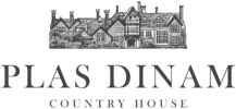 Plas Dinam logo