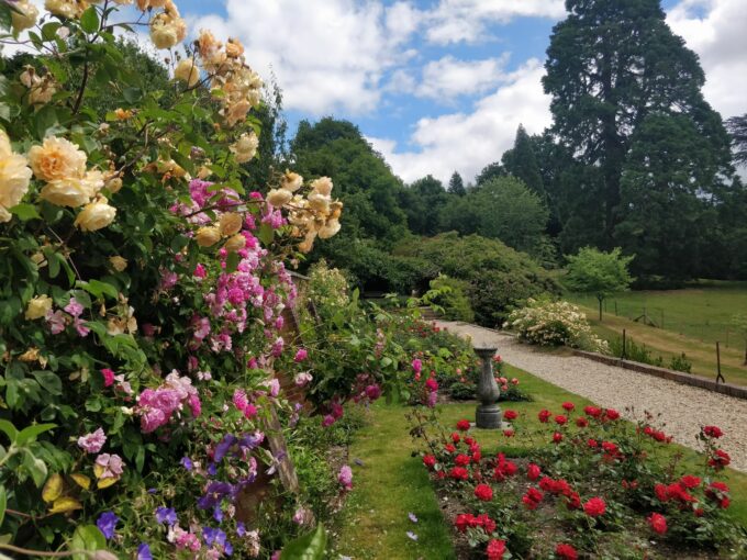 Rose Walk at Riverhill Garden