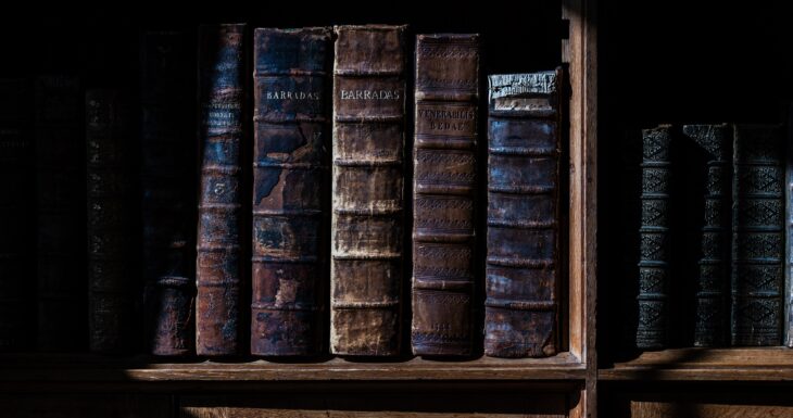Books in Library at Cheeseburn