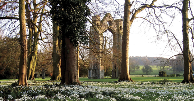 Walsingham Abbey in early spring with snowdrops