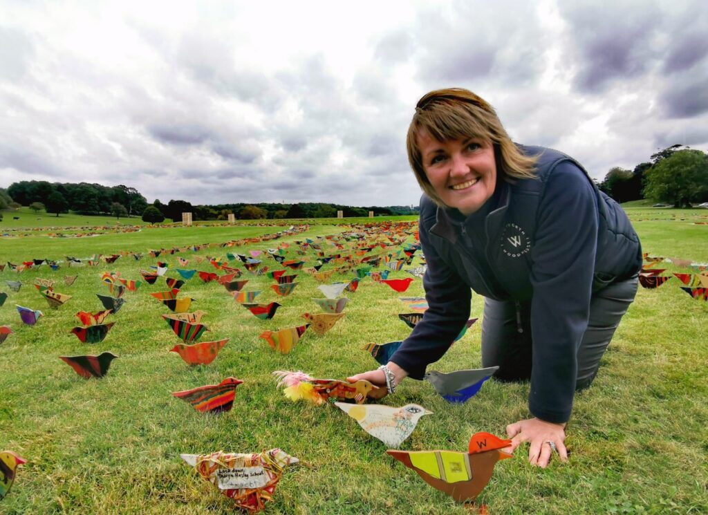 Wentworth Woodhouse Flock WWPT Sarah McLeod