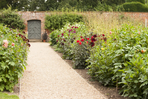 August path at Kelmarsh Hall