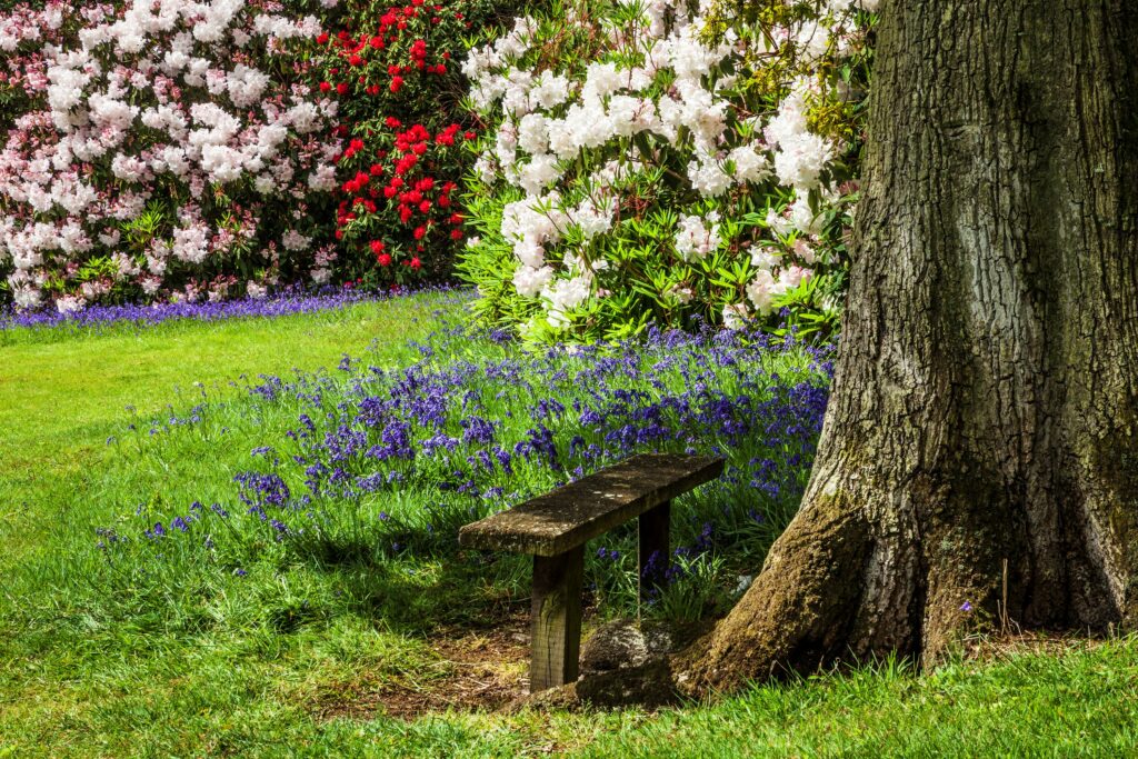 Bowood Garden by Anna Stowe