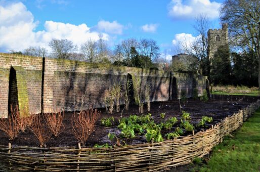 Compton beds, Credit Kathleen McCulloch