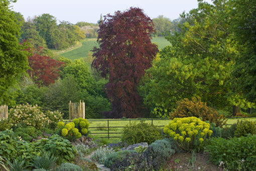 Doddington Place Garden grounds view