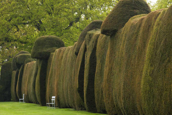 Doddington Place Garden hedge