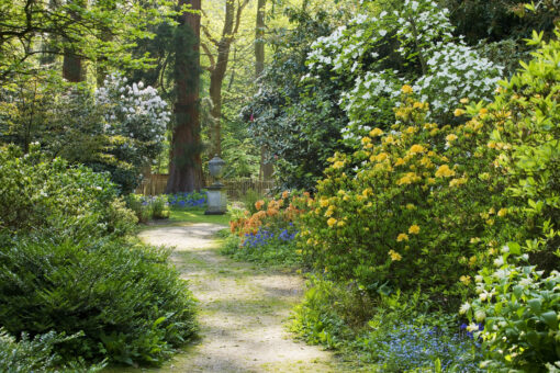 Doddington Place Garden path