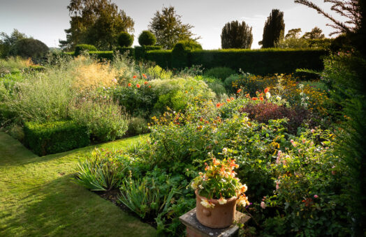 Doddington Place Garden by Molly Hollman