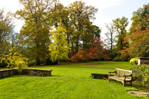 Downes House garden