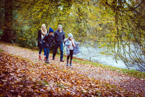 Harewood House AutumnHarewood House, Autumn