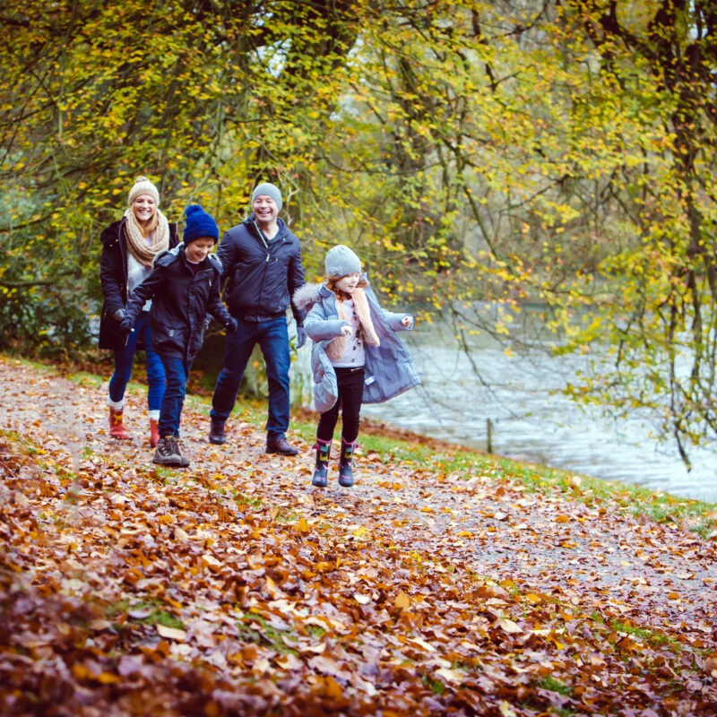 Harewood House AutumnHarewood House, Autumn