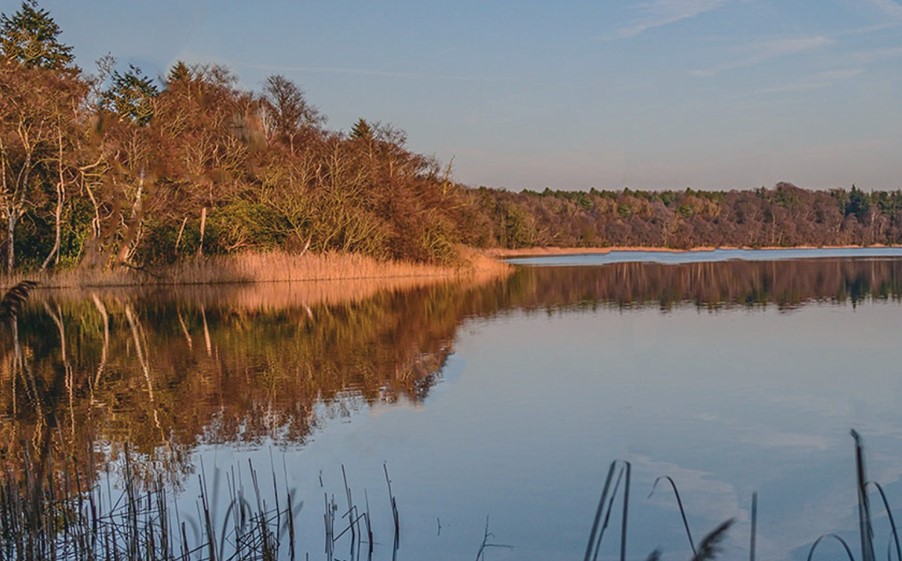 Fritton Lake, the heart of the rewilding project and the site of a new eco-tourism venture