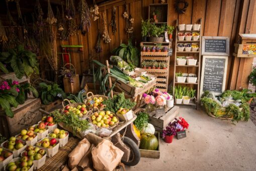 Gordon Castle Walled Garden vegetables