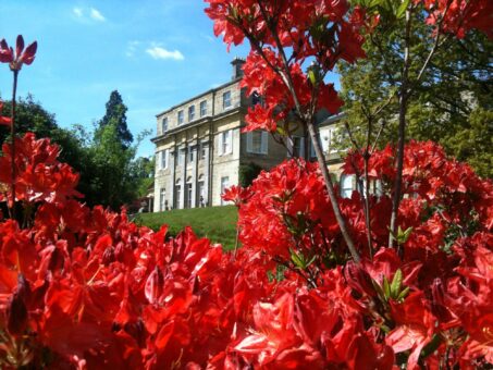 Hammerwood Park flowers