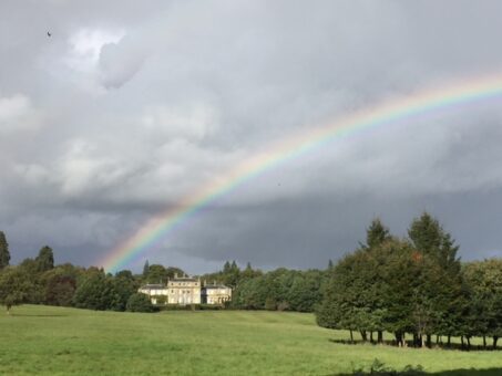 Hammerwood with rainbow