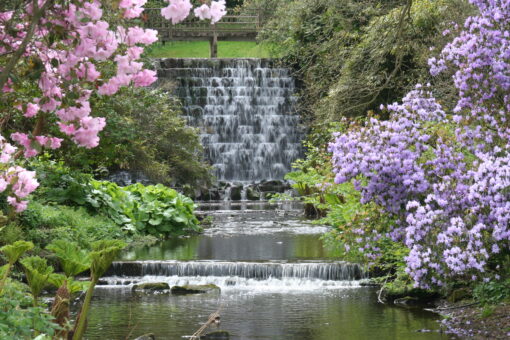 Himalayan Garden cascade credit Trevor Nicholson and Harewood House Trust