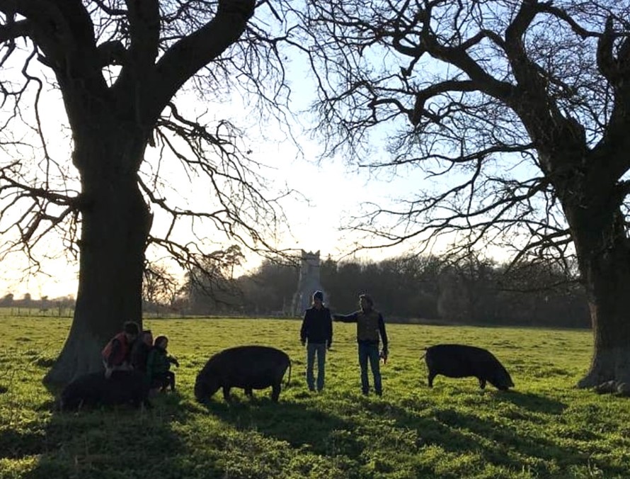 Hugh on site with a pair of Norfolk black pigs