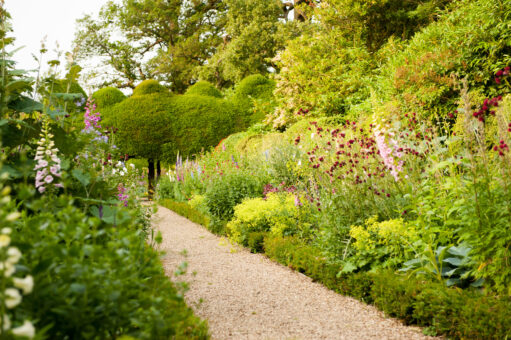 Rose path at Kelmarsh Hall