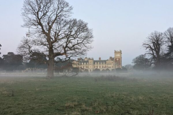 Somerleyton Hall biodiversity